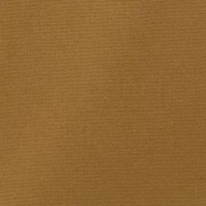 Rayon